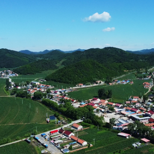 遼陽市弓長嶺區(qū)政府各職能部門地址工作時(shí)間和聯(lián)系電話