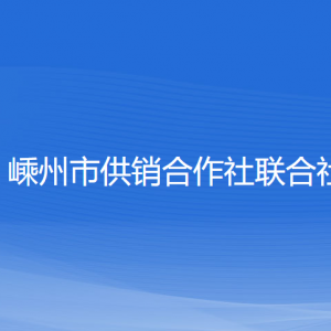 嵊州市供銷合作社聯(lián)合社各部門負責(zé)人和聯(lián)系電話