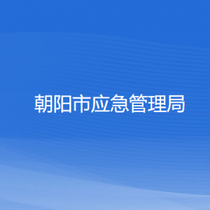 朝陽(yáng)市應(yīng)急管理局各部門對(duì)外公開電話