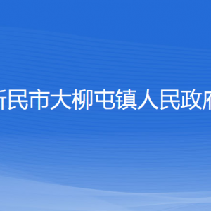 新民市大柳屯鎮(zhèn)政府各部門負(fù)責(zé)人和聯(lián)系電話