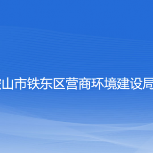 鞍山市鐵東區(qū)事業(yè)單位設(shè)立、變更、注銷登記操作指南