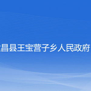 建昌縣王寶營(yíng)子鄉(xiāng)人民政府各部門(mén)聯(lián)系電話