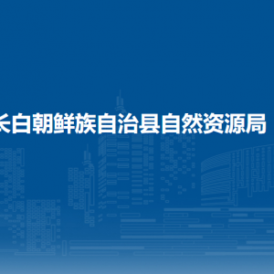 長白朝鮮族自治縣自然資源局各部門職責及聯(lián)系電話