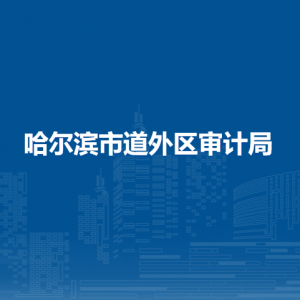 哈爾濱市道外區(qū)審計局各部門職責及聯系電話