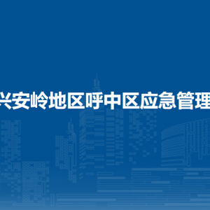 大興安嶺地區(qū)呼中區(qū)應急管理局各部門職責及聯(lián)系電話