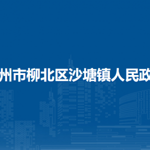 柳州市柳北區(qū)沙塘鎮(zhèn)政府各部門工作時間及聯(lián)系電話