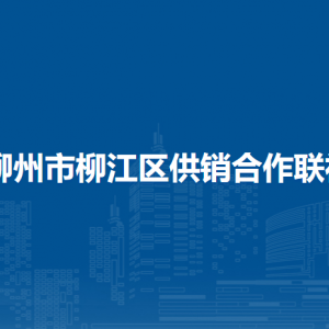 柳州市柳江區(qū)供銷合作聯(lián)社各部門負責(zé)人和聯(lián)系電話