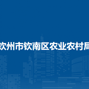 欽州市欽南區(qū)農(nóng)業(yè)農(nóng)村局各部門負(fù)責(zé)人和聯(lián)系電話