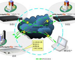 VPN網(wǎng)關(guān)項(xiàng)目國家資金申請報(bào)告