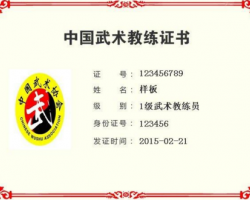 武術(shù)教練員資格證書