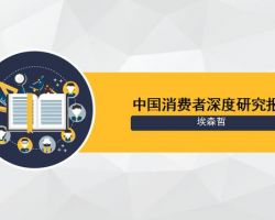 2017年中國(guó)消費(fèi)者調(diào)研報(bào)告