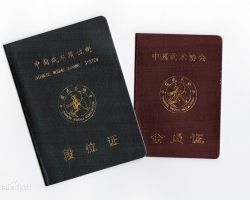 中國武術(shù)段位證書