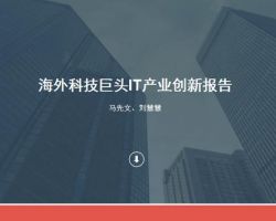 航空國際運(yùn)輸收入清算賬單申報明細(xì)表(A08009)