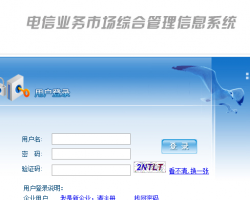 電信業(yè)務(wù)市場綜合管理信息系統(tǒng)入口