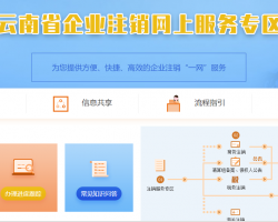 云南省企業(yè)注銷網(wǎng)上辦事大廳入口