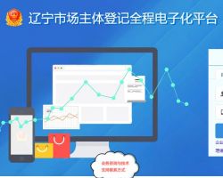 遼寧市場(chǎng)主體登記全程電子化平臺(tái)入口