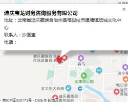迪慶寶龍財務咨詢服務有限公司