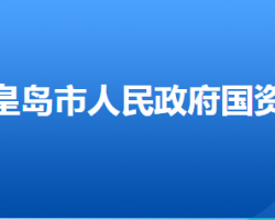 秦皇島市人民政府國(guó)有資產(chǎn)