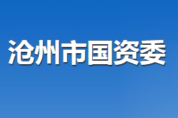 滄州市人民政府國有資產(chǎn)監(jiān)督管理委員會