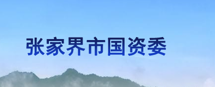 張家界市人民政府國(guó)有資產(chǎn)監(jiān)督管理委員會(huì)