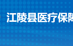 江陵縣醫(yī)療保障局