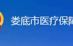 婁底市醫(yī)療保障局