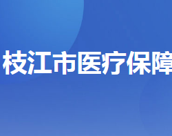 枝江市醫(yī)療保障局