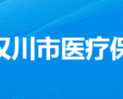 漢川市醫(yī)療保障局