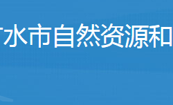 廣水市自然資源和規(guī)劃局