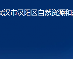 武漢市漢陽區(qū)自然資源和規(guī)