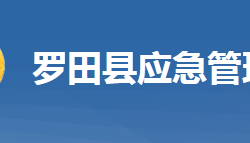 羅田縣應急管理局