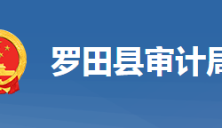 羅田縣審計局