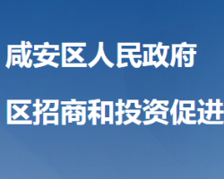 咸寧市咸安區(qū)招商和投資促進中心