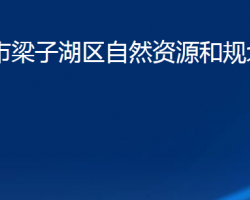 鄂州市梁子湖區(qū)自然資源和規(guī)劃分局