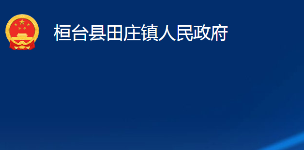 桓臺縣田莊鎮(zhèn)人民政府