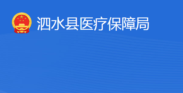 泗水縣醫(yī)療保障局