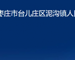 棗莊市臺兒莊區(qū)泥溝鎮(zhèn)人民政府