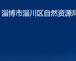 淄博市淄川區(qū)自然資源局