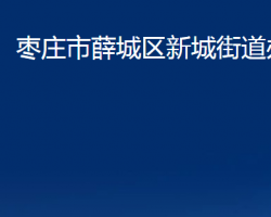 棗莊市薛城區(qū)新城街道辦事處