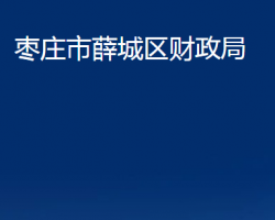 棗莊市薛城區(qū)財(cái)政局