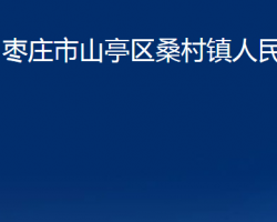 棗莊市山亭區(qū)桑村鎮(zhèn)人民政府