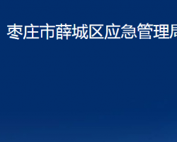 棗莊市薛城區(qū)應(yīng)急管理局