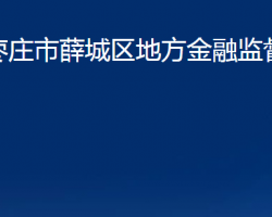 棗莊市薛城區(qū)地方金融監(jiān)督