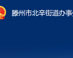 滕州市北辛街道辦事處