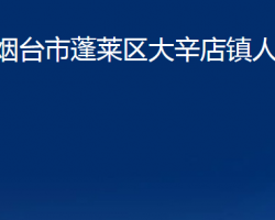 煙臺(tái)市蓬萊區(qū)大辛店鎮(zhèn)人民政府