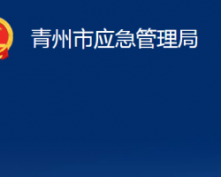 青州市應(yīng)急管理局