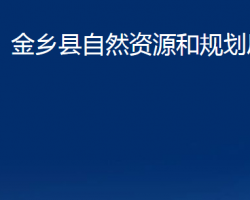 金鄉(xiāng)縣自然資源和規(guī)劃局