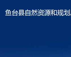 魚臺(tái)縣自然資源和規(guī)劃局