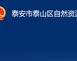 泰安市泰山區(qū)自然資源局