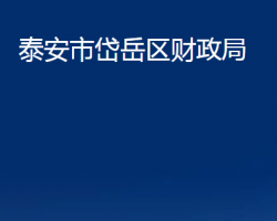 泰安市岱岳區(qū)財政局